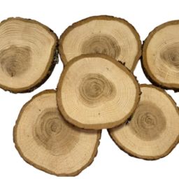 Dessous de verre en bois X6