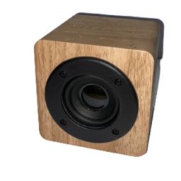 Enceinte