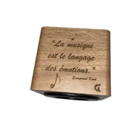 Enceinte
