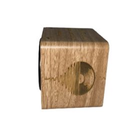 Enceinte