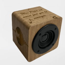 Enceinte
